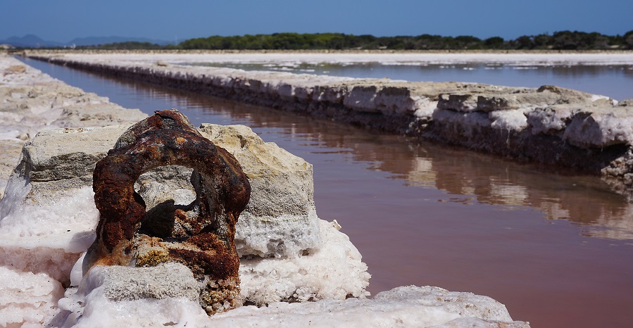 Formentera estrena nueva ruta birding